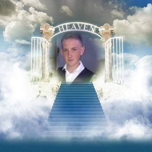 Meet your Posher, Ann